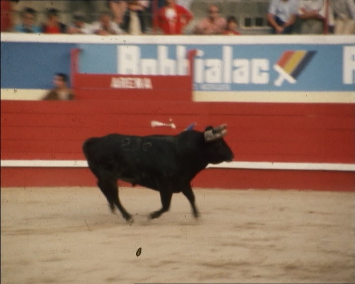 Corrida de Touros em Cascais