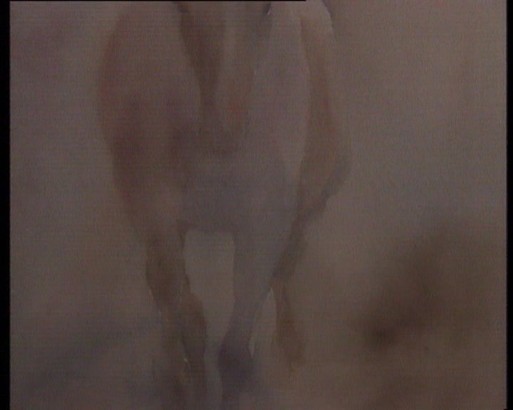 Exposição de pinturas