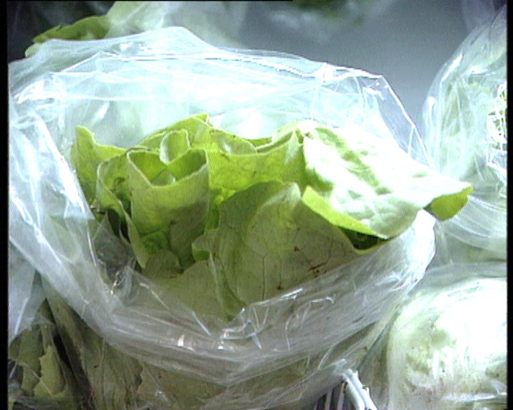 Consequências do mau tempo