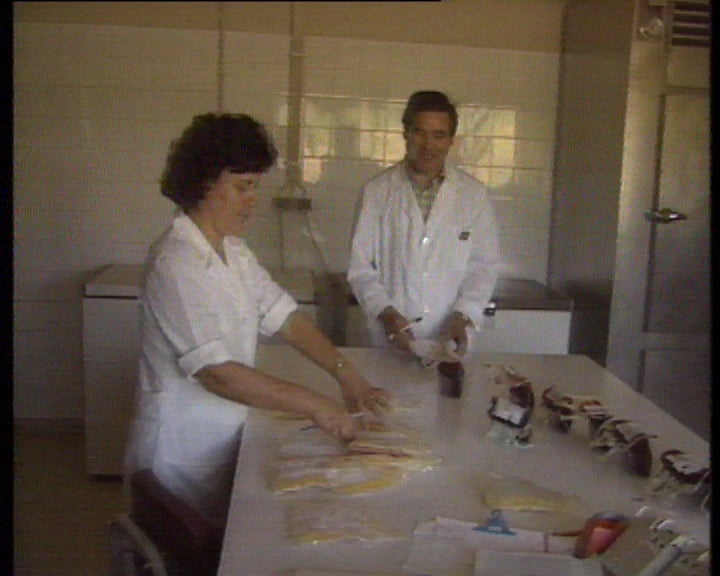 Declarações de Carvalho dos Santos