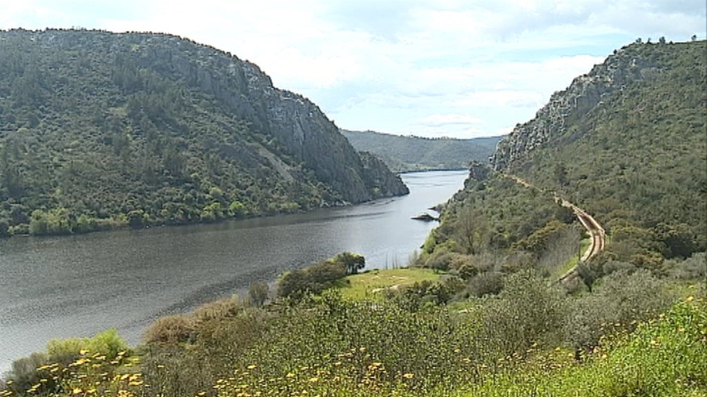 Projeto piloto para o Ambiente