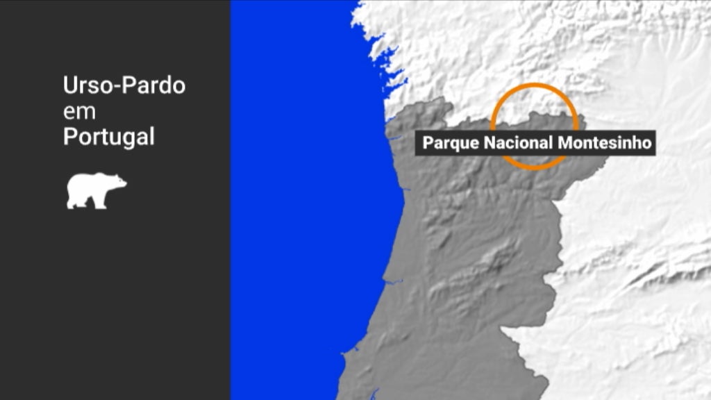 Urso-pardo em Portugal