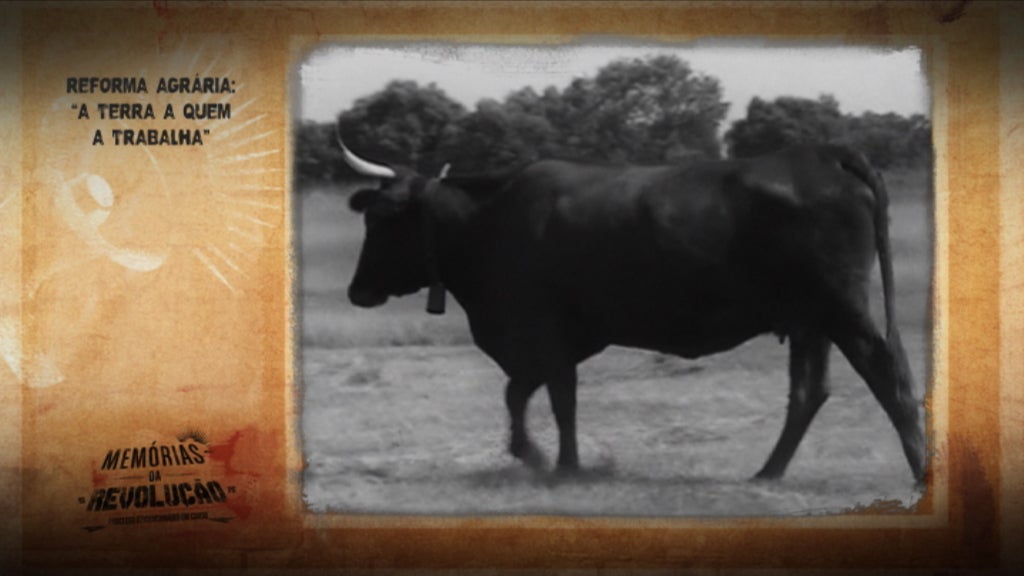 Memórias da Revolução: Reforma Agrária