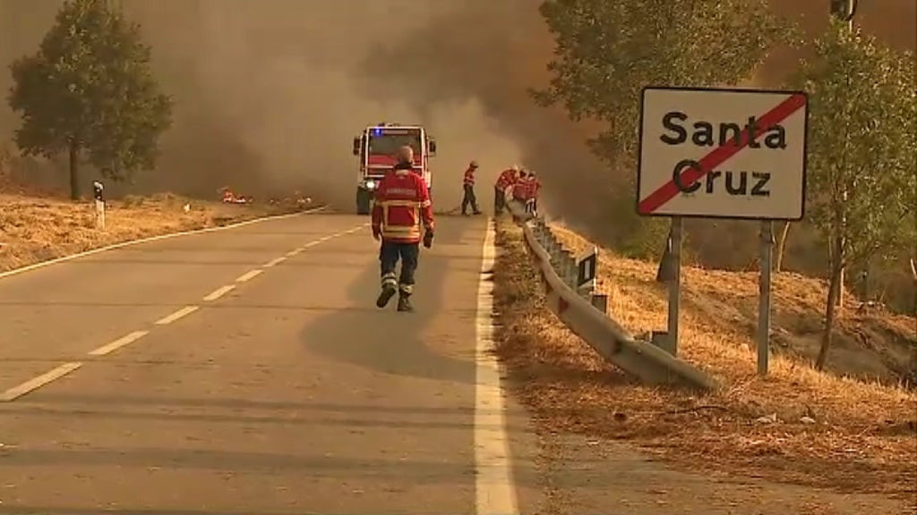 Incêndio florestal na Guarda