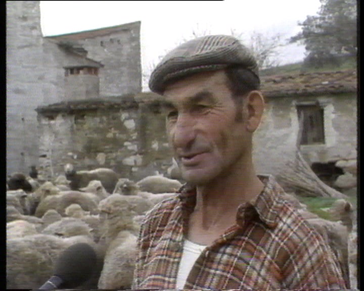 O modo como os portugueses encaram as eleições