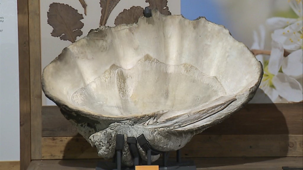 Exposição no Museu da Alfândega