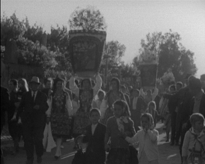 Festa das Rosas em Vila Franca do Lima