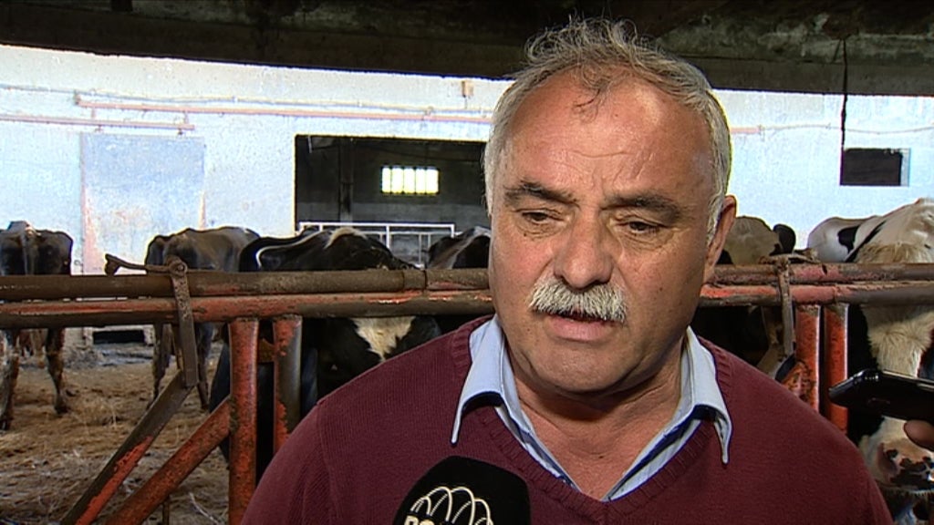 Contestação na indústria leiteira e na produção de carne portuguesa