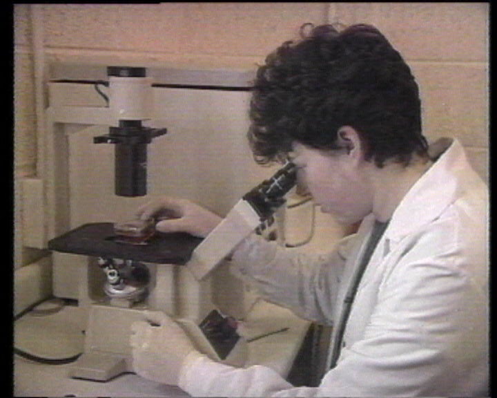 Conservas de sardinha com excesso de estamina descobertas na Alemanha