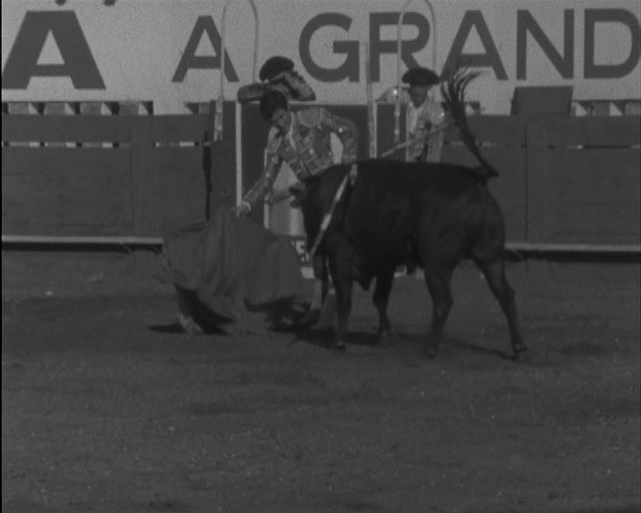 Tourada em Lourenço Marques