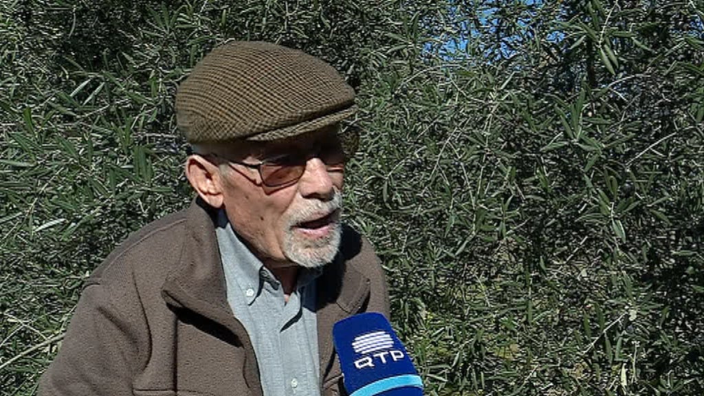 Produção de azeite a baixar