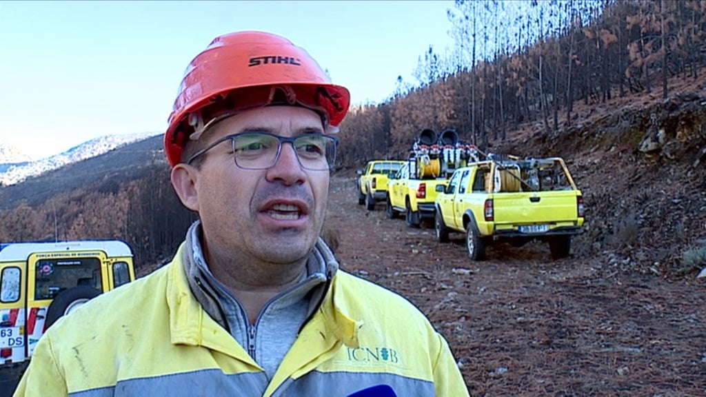 Estabilização dos solos após incêndios