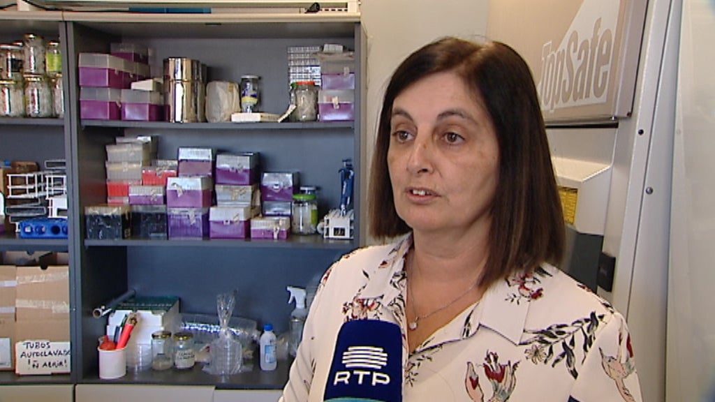 Queijo Fresco Probiótico