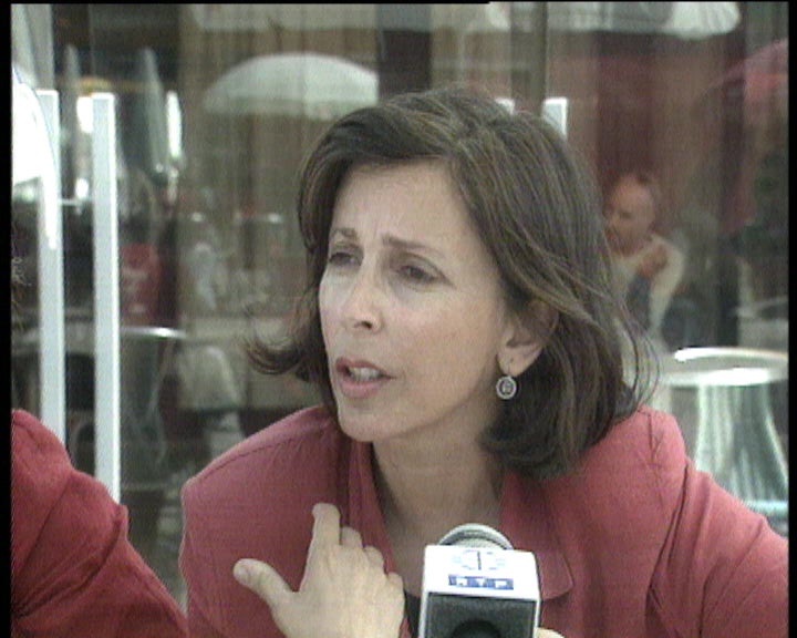 Os Verdes dão nota negativa à política de Ambiente do Governo