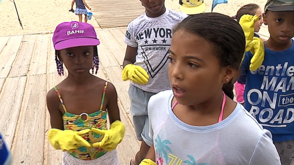 Limpeza da Praia Nova