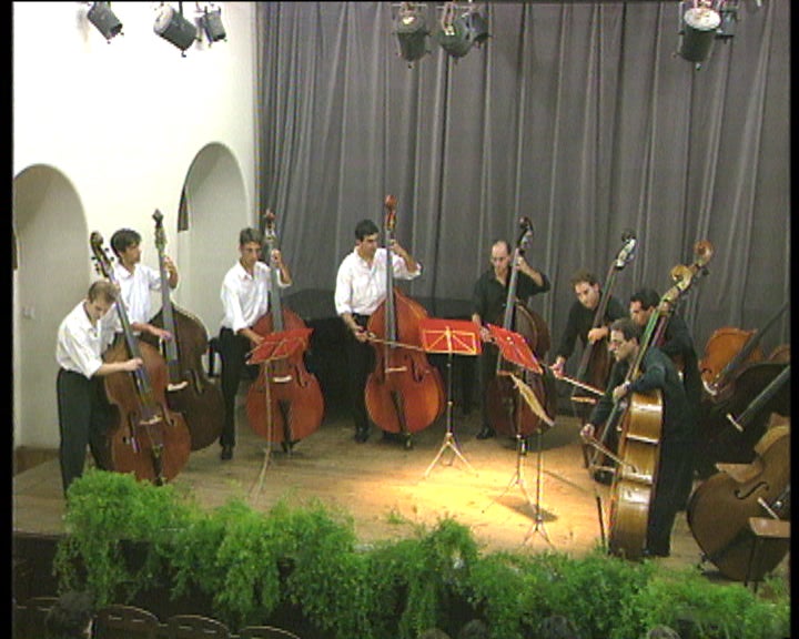 Concerto de Contrabaixos