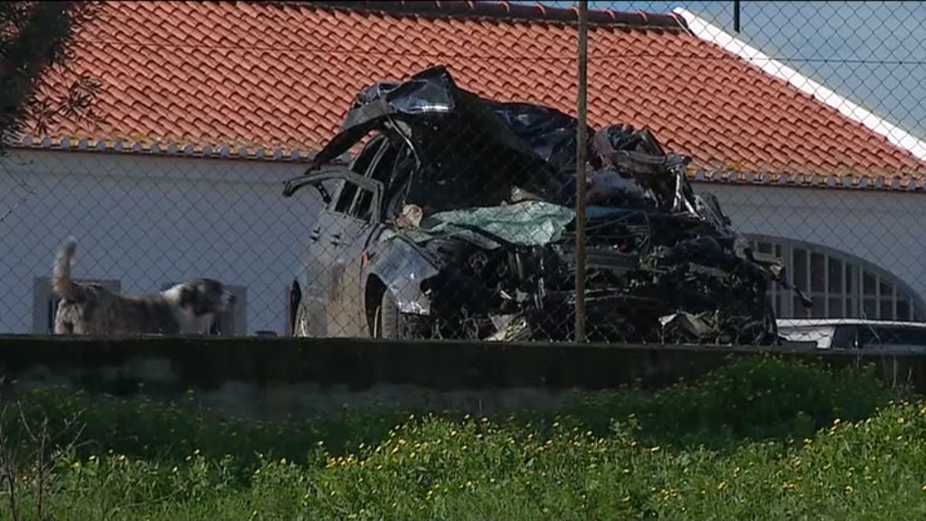 Cavalo à solta na estrada provoca acidente de viação