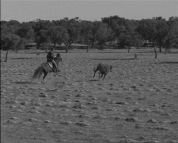 Fainas de campo na herdade do Vale do Mouro