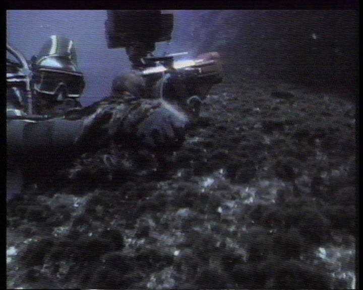 Investigação de cientistas no mar dos Açores