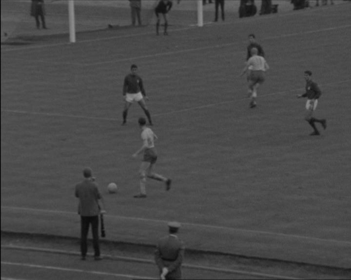 Futebol: Portugal vs Suécia