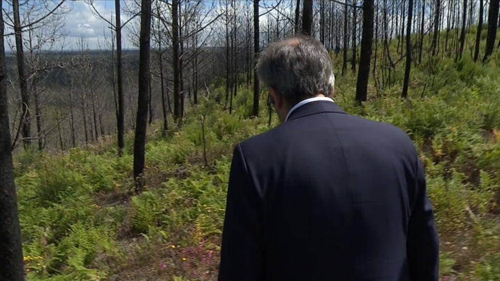 Eleições Europeias 2019: Campanha eleitoral do PSD