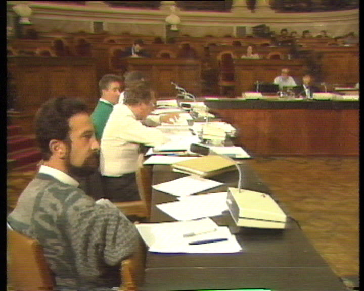 Audiência parlamentar a Leonor Beleza