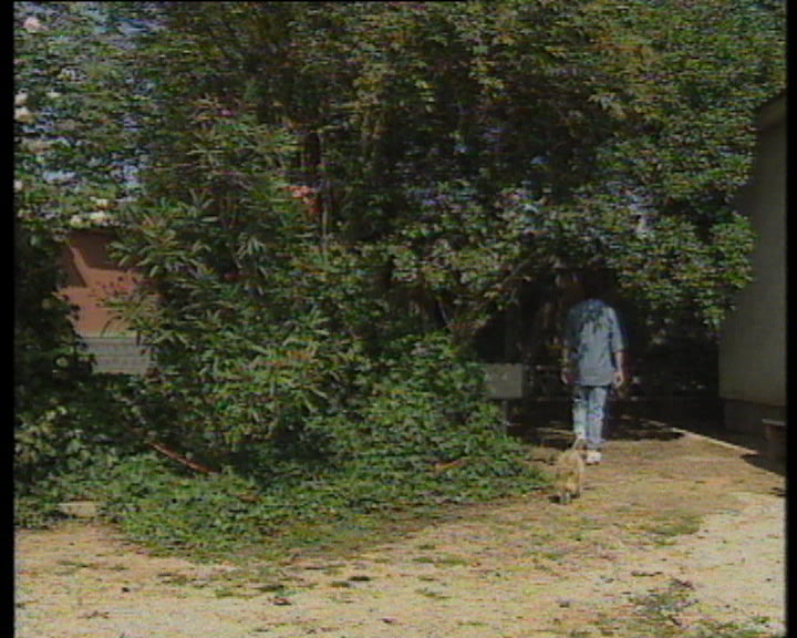 Reportagem sobre Marco Paulo