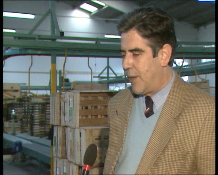 Os produtos hortícolas