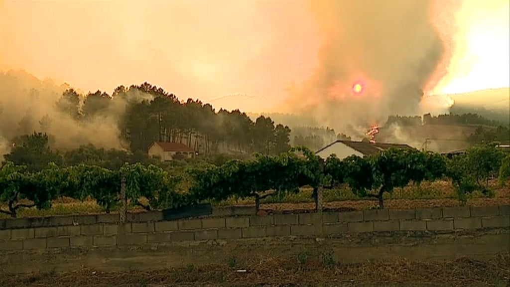 Incêndio florestal na Covilhã