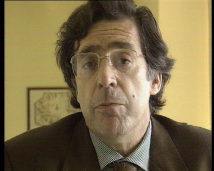 Depoimentos de intelectuais portugueses sobre cultura