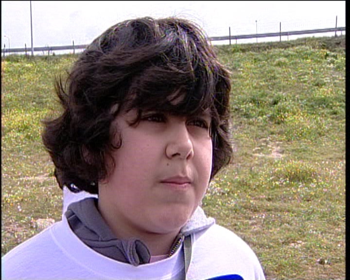 Plantação de árvores junto à A23