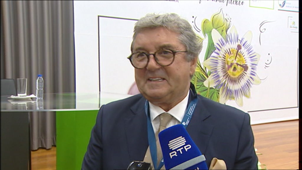 Ligação Madeira e Porto Santo pode vir a ser assegurada pela Swifair