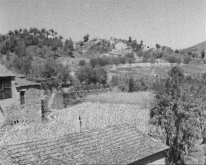 Tarouca