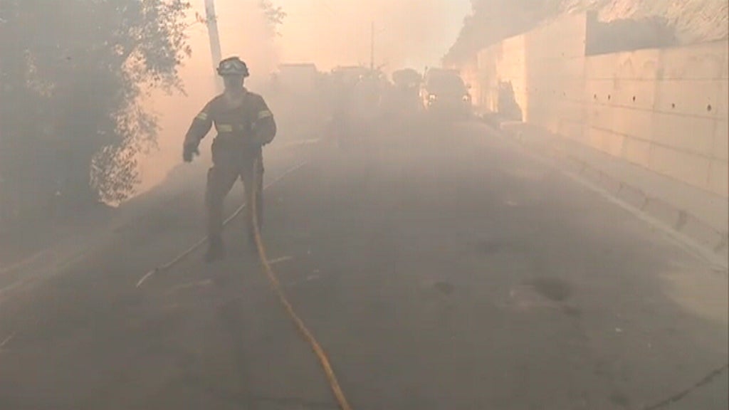 Incêndio florestal na Mealhada
