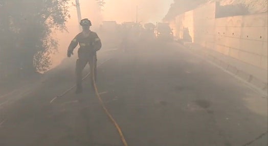 Incêndio florestal na Mealhada