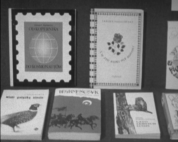 Livros infantis em exposição