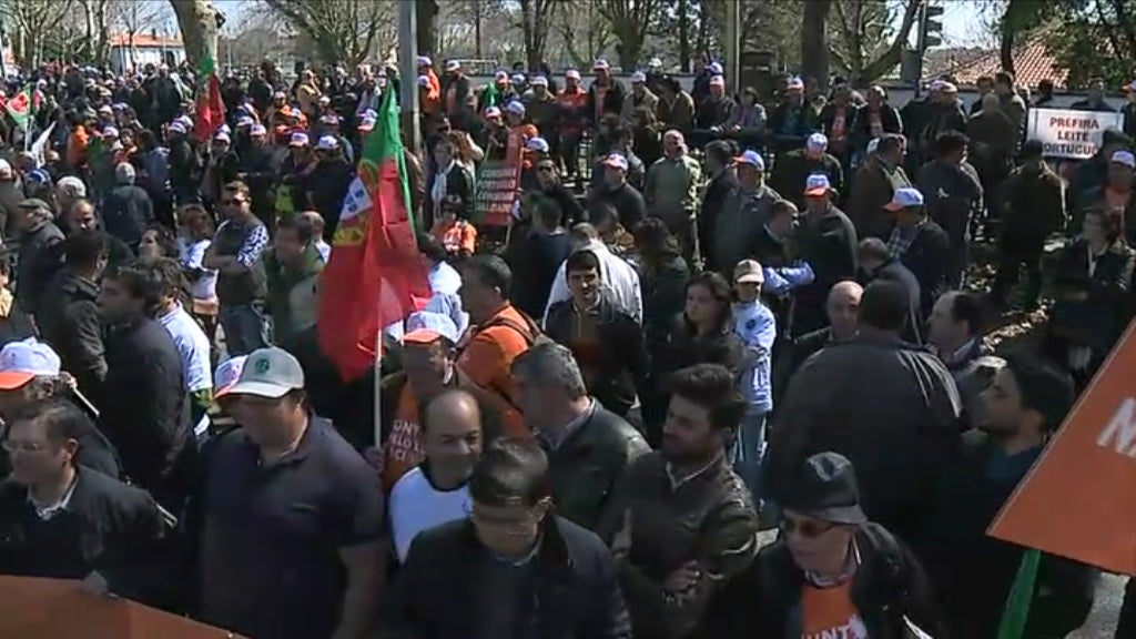 Razões do protesto dos produtores de leite