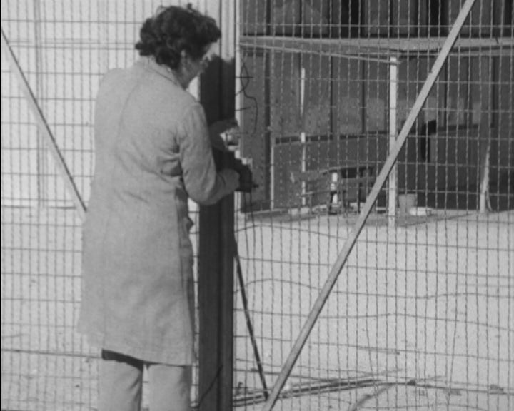 Escolas primárias vandalizadas no bairro lisboeta de Olivais Sul