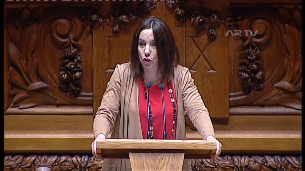 Debate na AR sobre questões florestais