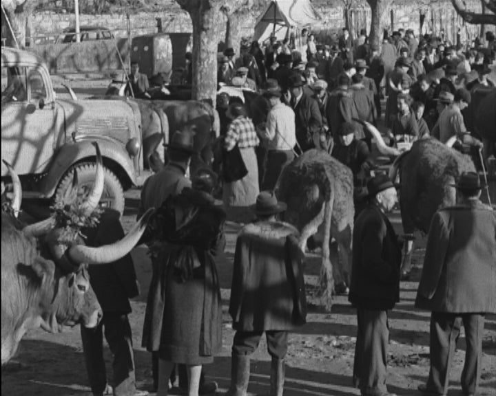 Feira de São Sebastião