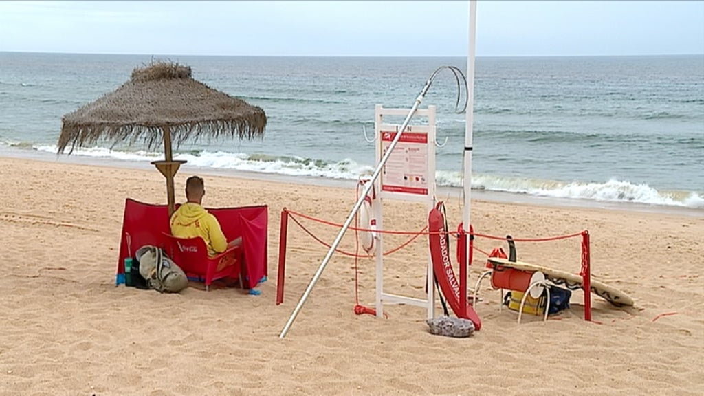 Algas vermelhas no Algarve