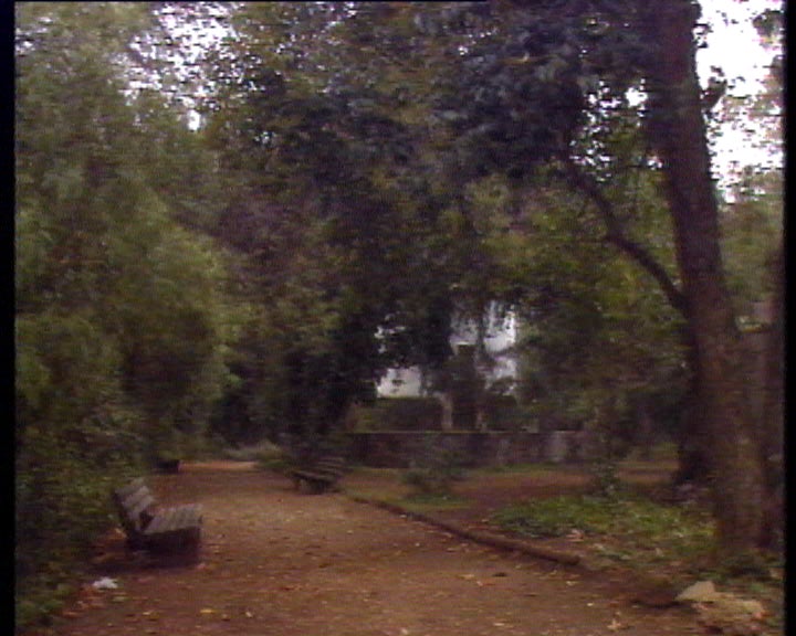 Parque Florestal de Monsanto