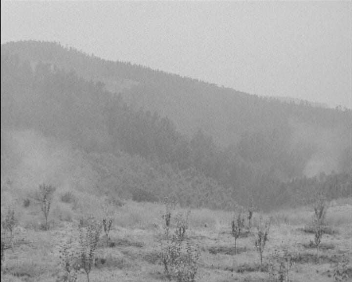 Incêndio na Ilha da Madeira