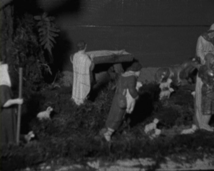 Inauguração da árvore de Natal em Oeiras