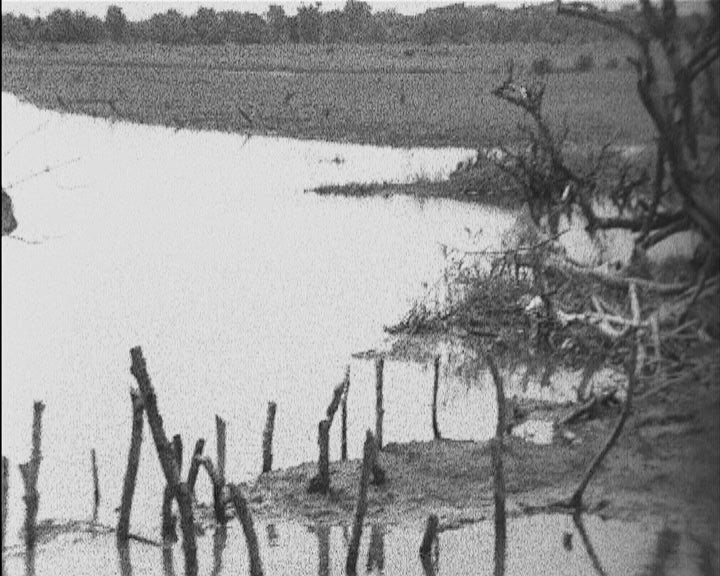 General Spínola visita as bolanhas da Guiné