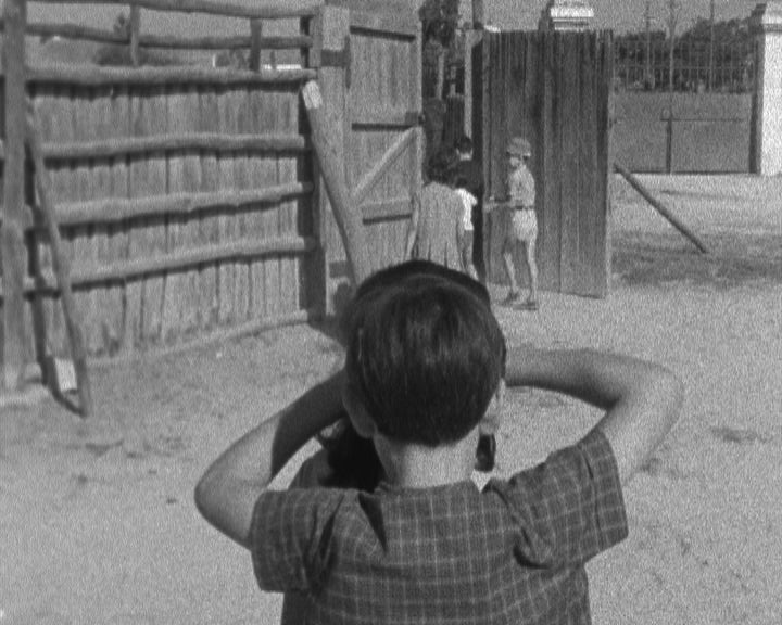 Um jovem cavaleiro toureiro na Moita do Ribatejo