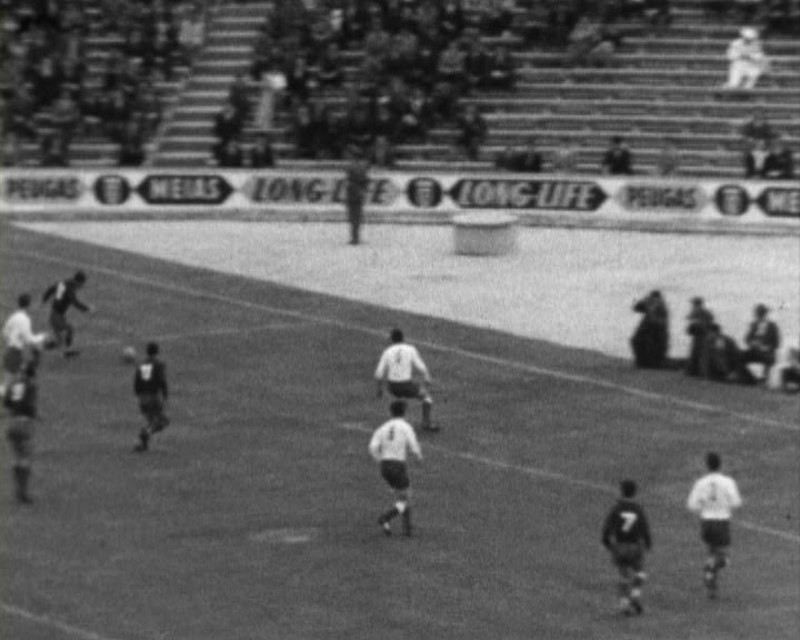 Futebol: Portugal vs Polónia