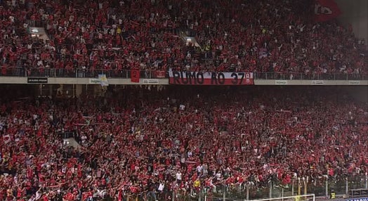 Futebol: Festejos dos adeptos do Benfica