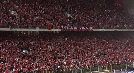Futebol: Festejos dos adeptos do Benfica