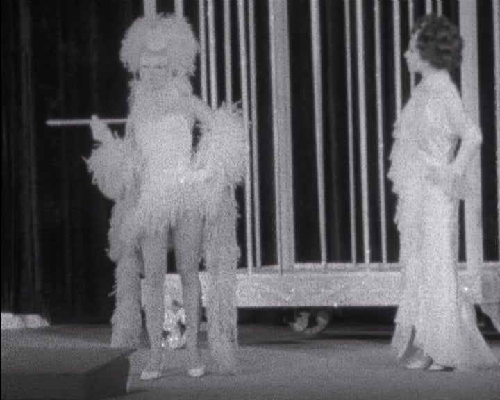 Estreia da revista “Lisboa é Sempre Mulher”